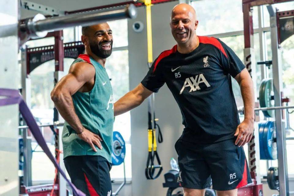 毫不夸张的, hWdSM, Mi