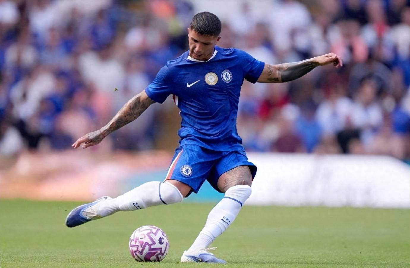 根在斯坦福, 恩佐本人并