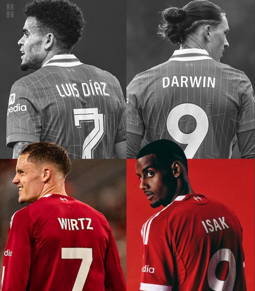 nf, fj, 涅斯的内容 nf, fj, 涅斯的内容