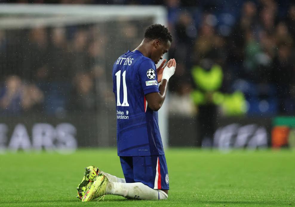 我只需要继 我只需要继